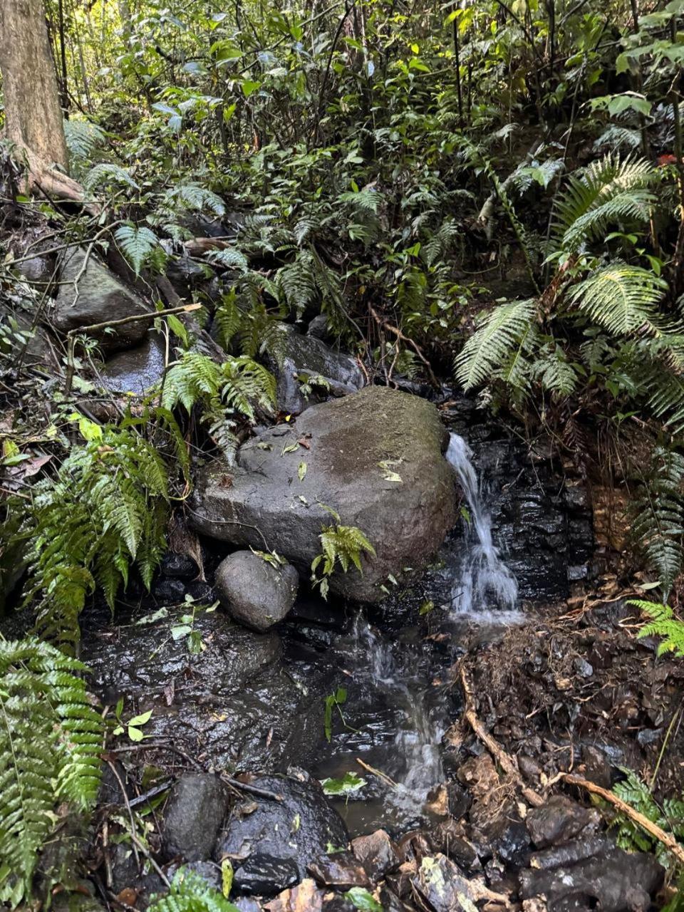 Chale Recanto Do Frassetto Sideropolis Esterno foto